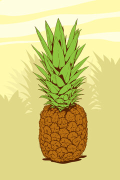 High detailed illustration of a pineapple