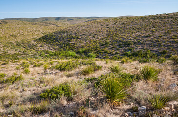The Arid Landscape of Carlsbad Caverns National Park