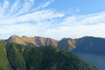 Obraz premium Beautiful view of the mountains with knee timber and clear blue sky on peaks in the summer. West Tatras, Slovakia.