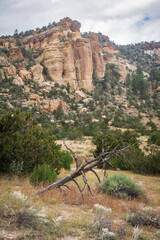 Cliffs and Arid Landscape, El Malpais National Monument