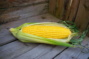 Сorn on the cob