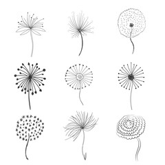 Set of abstract graphic doodle dandelions. Hand drawn fluffy dandelion. Design element for fabric, wrapping paper, congratulation cards, print, banners. Black and White vector illustration. EPS 10.