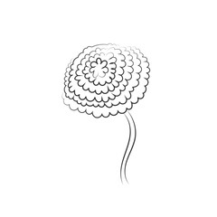 Hand drawn fluffy dandelion. Set of abstract graphic doodle dandelions. Design element for fabric, wrapping paper, congratulation cards, print, banners. Black and White vector illustration. EPS 10.