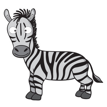 Vector illustration of smiling cute cartoon zebra.