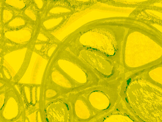 Seafoam T-Cells. Emerald Virus Rabies. T Lymphocytes. Sage Lymphoma Cells. Bacterium Microscope. Jade Art. Bacteria Molecules. Medicine Virus.