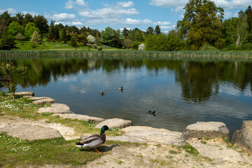 Bedgebury National Pinetum and Forest © Mariusz