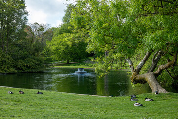 Kearsney Abbey Gardens © Mariusz