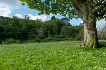 Kearsney Abbey Gardens