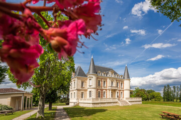 Chateau Lamothe Bergeron - one of the most famous winemakers in Bordeaux, France - 608653115