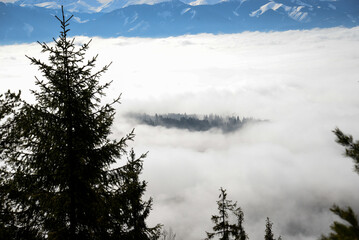 View from Cerenova skala (rock) in West Tatras  in Liptov. Near Liptovsky Mikulas city in foggy weather. Spring time, cloudy weather, Slovakia. Green forest. Village in the fog.