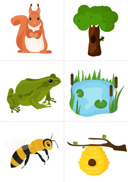 set of cards for children's game guess where is whose house, squirrel, hollow, frog, swamp, bee, beehive, insects, amphibians, animals, vector illustration