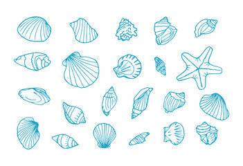 Hand drawn seashells. Marine doodle set with seastars and mussels. Collection of shell, sink and starfish. Perfect for invitations, fabric, textile, linens, posters, prints, banners