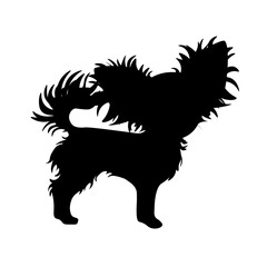 Black silhouette of a fluffy dog of the Chihuahua breed