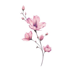 Fototapeta na wymiar digital painting watercolor flower