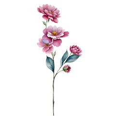 Naklejka na ściany i meble digital painting watercolor flower