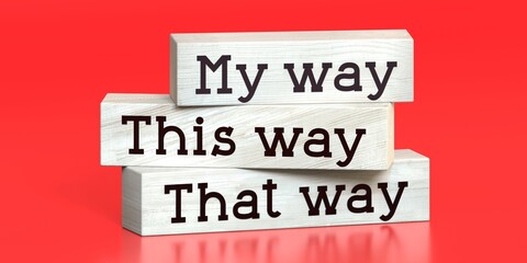This way, that way, my way - words on wooden blocks - 3D illustration