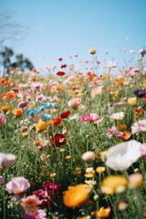 Obraz na płótnie Canvas Colourful spring flowers at field over blue sky, created using generative ai technology