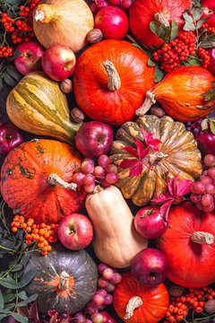 Autumn background with seasonal fruits and vegetables, top view, flat lay. Happy Thanksgiving concept