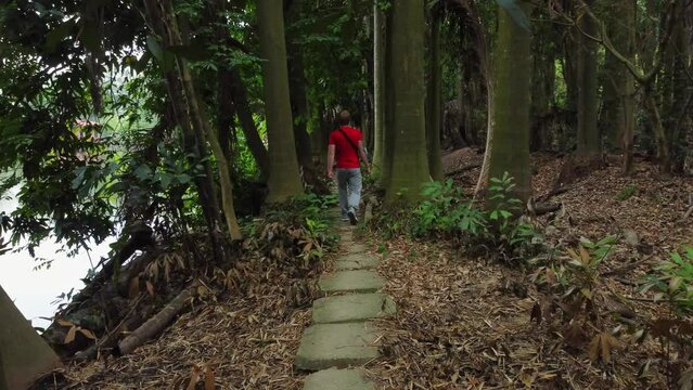 man walks through the jungle