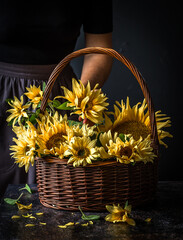 Sunflowers in a basket