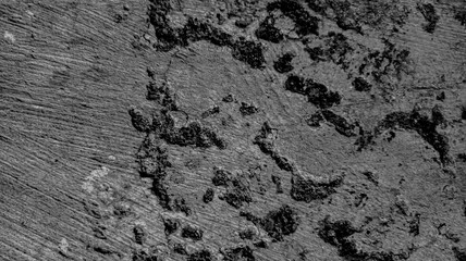 concrete cement wall texture background for template, monochrome color