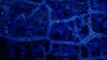concrete cement wall texture background for template, dark blue color