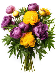 Bouquet of yellow and purple peonies on a white background
