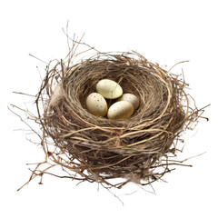 nest with eggs isolated on transparent background cutout