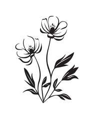 Wildflower silhouette, black and white image. flower leaves and branches