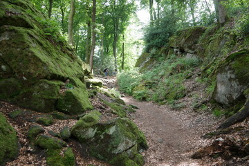 Wanderweg auf dem Teufelspfad bei Irrel durch die Teufelsschlucht