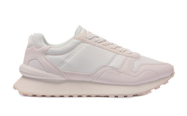 One stylish new sneaker isolated on white