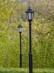 Lamppost in the park on a foggy day