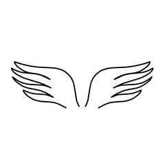 Fototapeta na wymiar wing outline vector