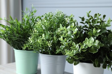 Different artificial potted herbs on table, closeup