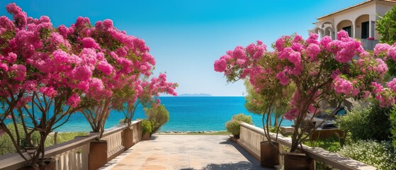 Beautiful resort promenade with blooming colorful oleanders against backdrop of Mediterranean Sea and blue sky.