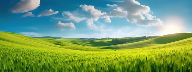 Beautiful spring natural panorama of a field of young green wheat on the hills against a blue sky with clouds