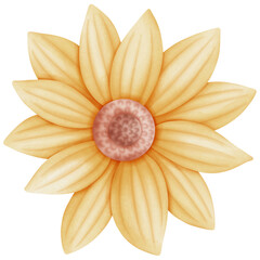 Single yellow pastel Sunflower flower illustration
