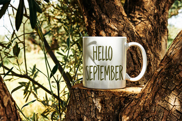 white cup of coffee with hello September text on Tree trunk wood Podium through olives tree