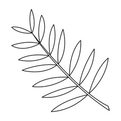 Palm leaf in doodle style5. Black and white vector illustration.