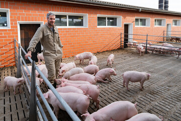 Landwirt hat seinen Schweinestall auf Haltungsstufe 4 umgebaut und steht in einer Aussen - Bucht...