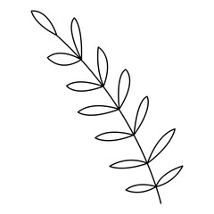 Palm leaf abstract in doodle style. Black and white vector illustration.