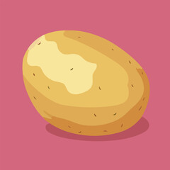 Vector illustration of fresh and juicy potato