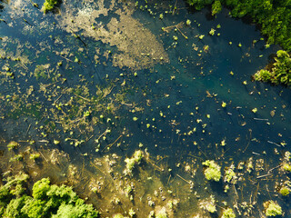 Aerial view top down Drone view over swamp or lake in sunrise or sunset time, Amazing nature view in the morning at Klong root lake Krabi Thailand