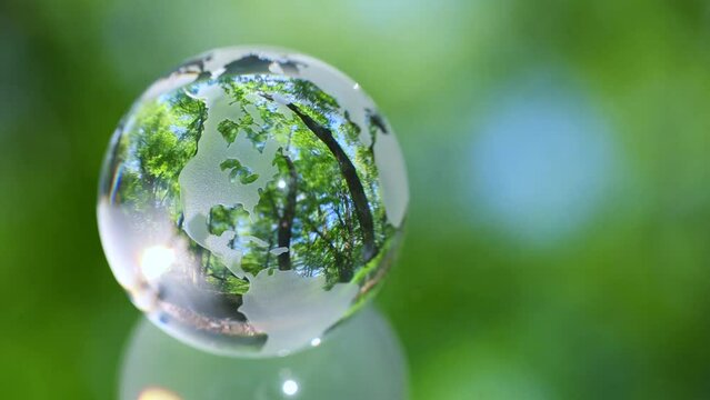 エコイメージ　森林　ガラスの地球
