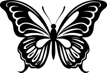 Butterflies   Black and White Vector illustration © CreativeOasis