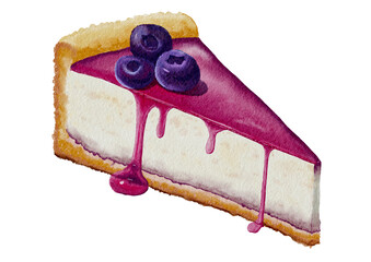 Blueberry Cheesecake cake isolated on white background