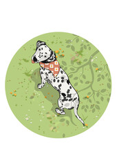 Dalmatian under a tree in the flower field