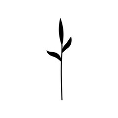 Black silhouette of a twig with thin leaves. Clipart.