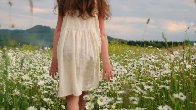 Selective focus of cute little girl child in hat walks through field of daisies on summer sunny day. Beautiful preteen kid enjoy and explore nature. Childhood and freedom, blooming meadow concept