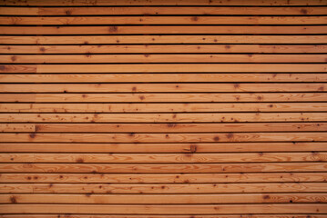Pine wood texture background